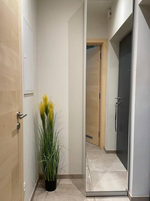 Gartenwohnung Mit Terrasse Und Parkplatz Graz Dış mekan fotoğraf